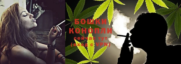прущие грибы Лиски